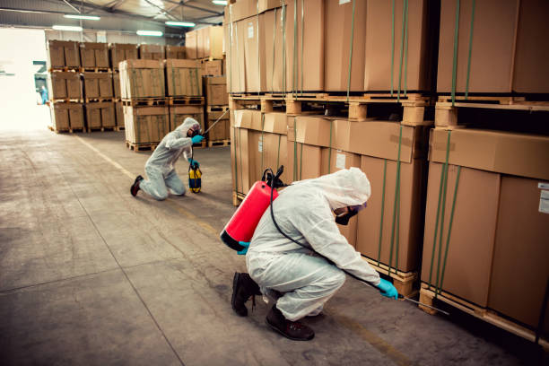 Best Flea Control Services  in Shannon Hills, AR