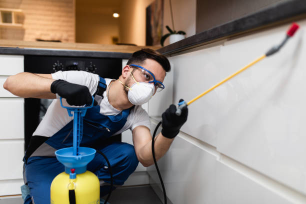 Best Emergency Pest Control  in Shannon Hills, AR