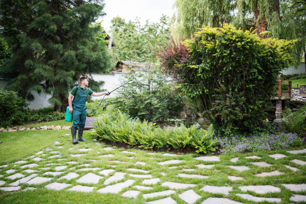 Best Wasp Removal Services  in Shannon Hills, AR