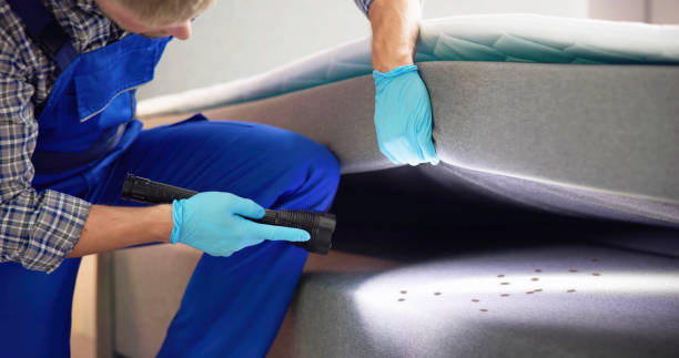 Best Pest Removal Services  in Shannon Hills, AR