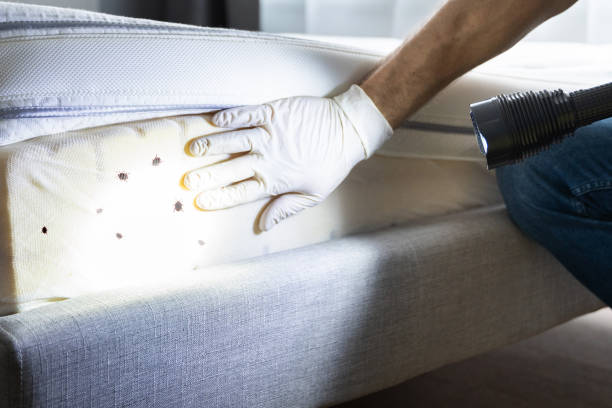Best Pest Control Treatment  in Shannon Hills, AR